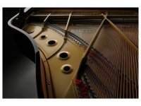 Kawai GL 10 B Kawai GL 10 B